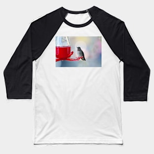 Hummingbird sun halo Baseball T-Shirt